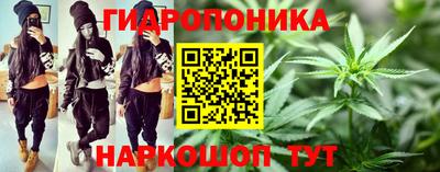 прущие крисы Бийск