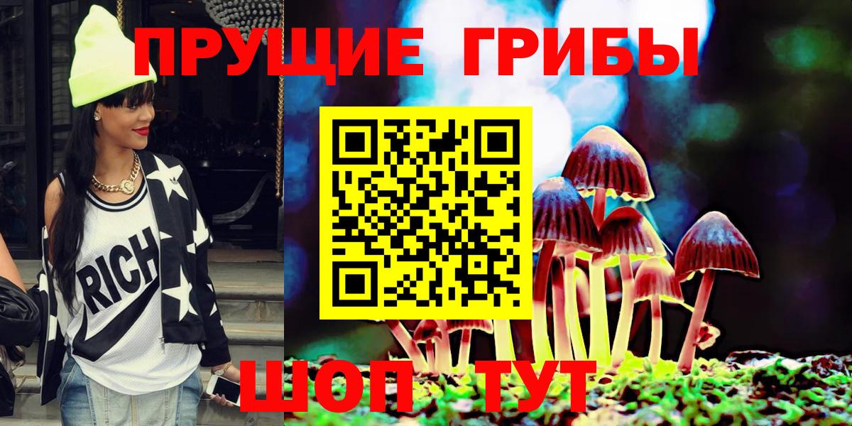 Псилоцибиновые грибы Psilocybe  Вход с VPN  Кимры 