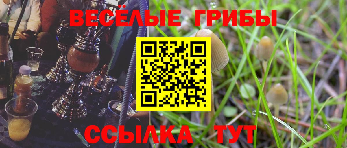 Псилоцибиновые грибы прущие грибы Кимры